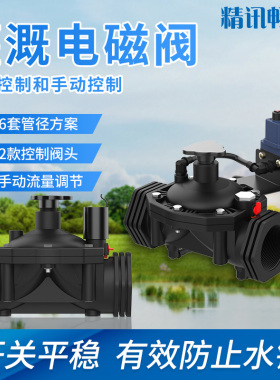 灌溉电磁阀2寸 2.5寸农业灌溉水阀dn25 32 40 50先导式脉冲电磁阀