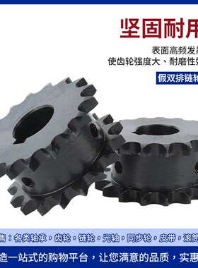 50系列链轮双排链轮 VLR11-12齿-VLR11-21齿定作齿轮链条SP50SD