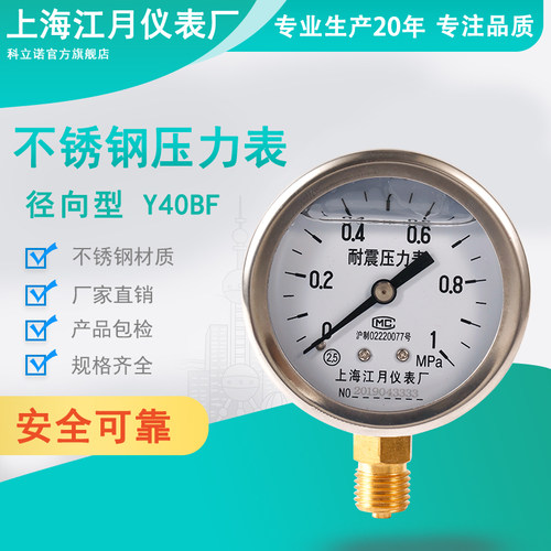 耐震压力表YN600-1.6MPA油压水压气压表径向二氧化碳气表氧气氩气