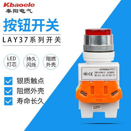 按钮开关带灯自锁 电源开关 LAY7 LAY37-11DNZS Y090-11DNZS 22MM