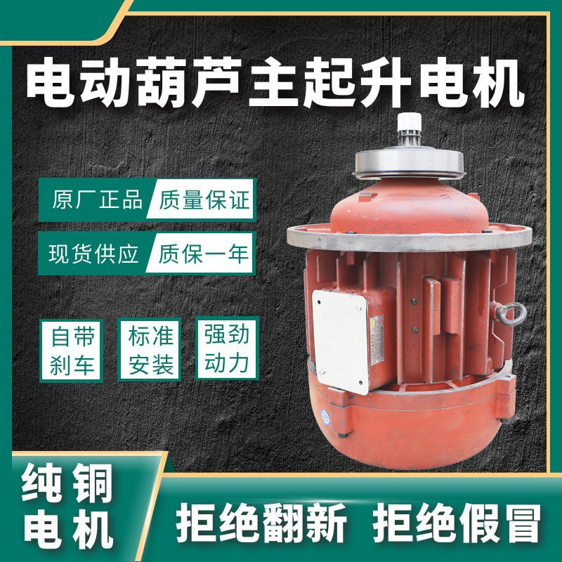 南京特种电机公司江陵10吨电动葫芦纯铜ZD151-4 13KW锥形转子电机