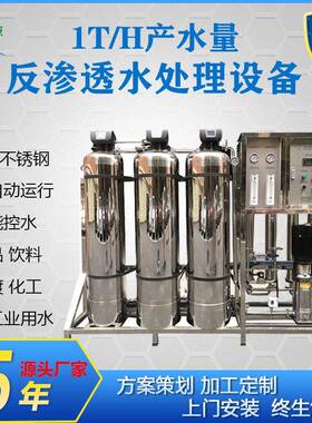 时产1吨现货反渗透水处理设备食品工业去离子水净水纯水设备