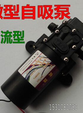 隔膜微型小泵农用电动喷雾器水泵12V自吸泵高压洗车泵轿车换机油