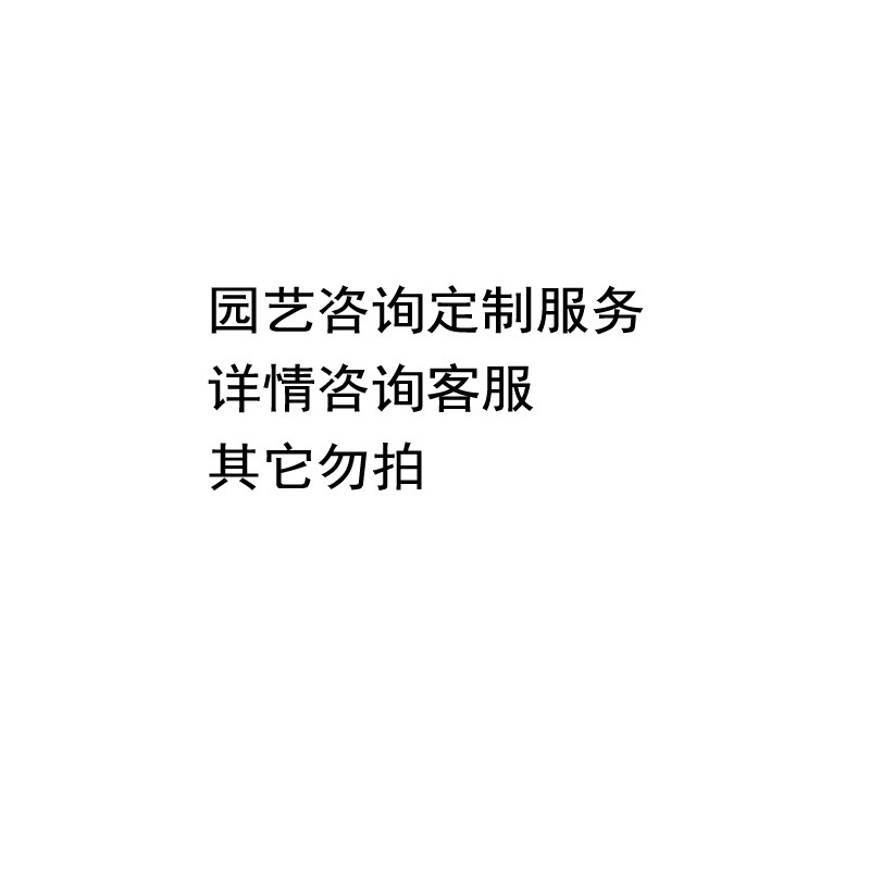 园艺设计咨询服务定做定制服务---其它勿拍图片
