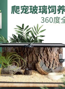 BG蜘蛛蝎子饲养箱生态雨林造景玻璃爬宠饲养缸螳螂甲虫昆虫饲养盒