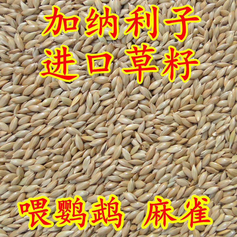 鹦鹉鸟食饲料 加纳利子 白尖粟 金丝雀芙蓉鹦鹉黄雀鸟粮包邮 5斤