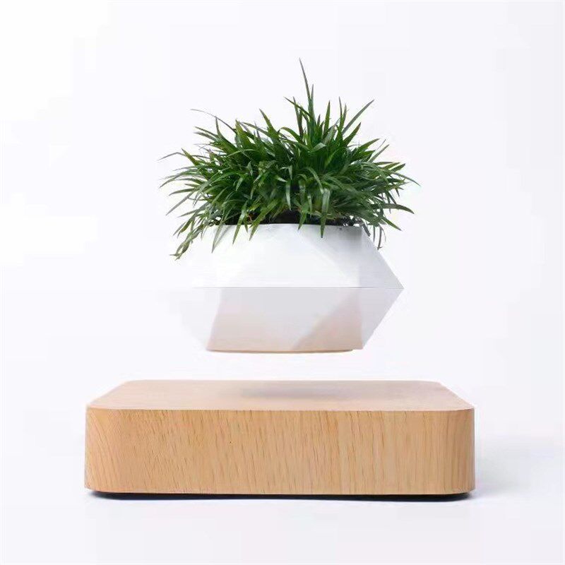 磁悬浮盆栽植物盆景客厅家居摆件网红创意工艺品乔迁新居礼物