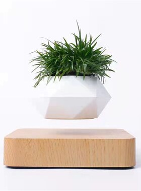 磁悬浮盆栽植物盆景客厅家居摆件网红创意工艺品乔迁新居礼物
