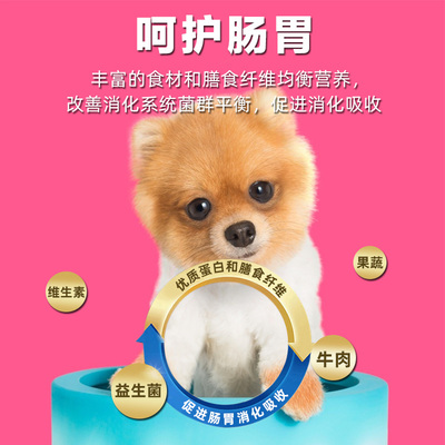 迷你贵宾犬寄养翻车实录：花了3000块才知道这些坑，别再踩了