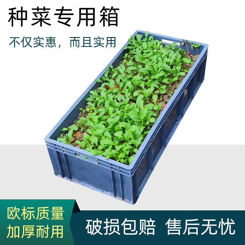 阳台楼顶种植箱种菜专用箱蔬菜长方形花盆收纳盒塑料花箱种菜盆