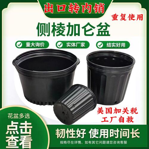 黑色加仑盆加厚软塑料花盆阳台育苗杯防老化重复使用育苗盆营养钵