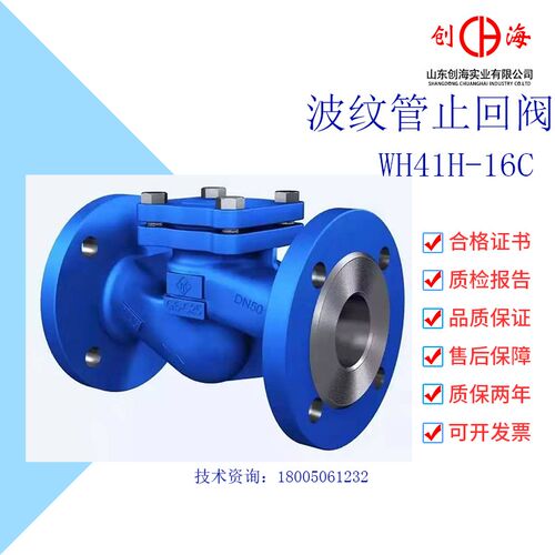 波纹管止回阀耐高温导热油法兰蒸汽阀门WH41H-16C DN50 100 150