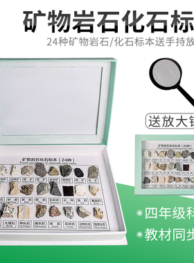24种矿物岩石化石标本土壤标本小学四年级科学自然地理地质矿石