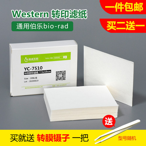 Western blot 转印滤纸转膜滤纸 7.5*10 15*15cm20片/包通用伯乐