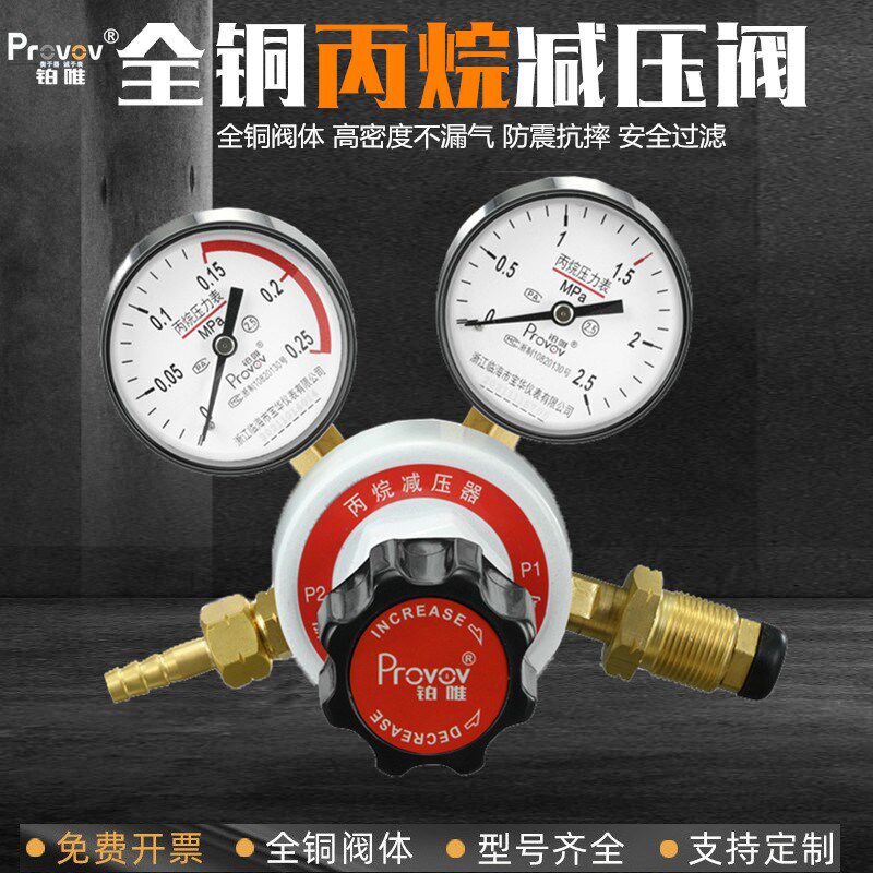 铂唯丙烷减压器YQW-213全铜双表单级气瓶稳调压阀压力表0.252.5