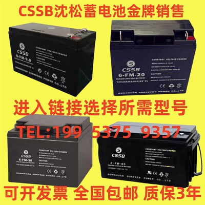 CSSB沈松蓄电池6-FM-20 12V7AH9AH17AH24AH38AH65AH100AH消防 UPS