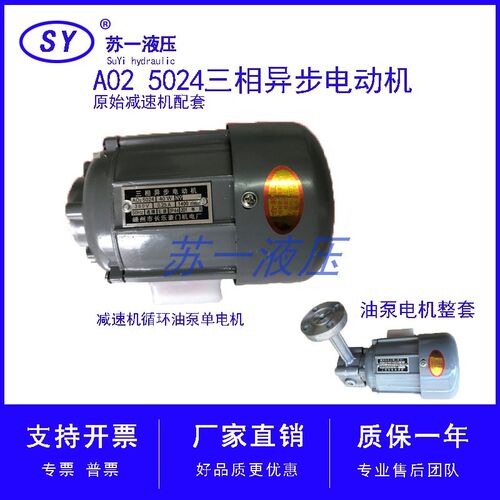 AO25024三相异步电动机AO2 5024嵊州长乐YS5014油泵电机40W/60W