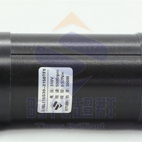 300W60/80大功率高压交流高速无刷电机马达5000转57BL115S30-3150