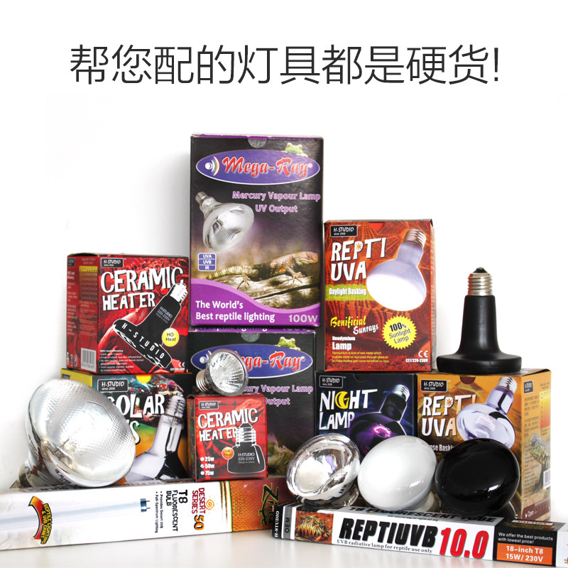 爬虫OSB饲养箱陆龟箱器材套装蜥蜴刺猬保温箱宠物箱实木玻璃门箱