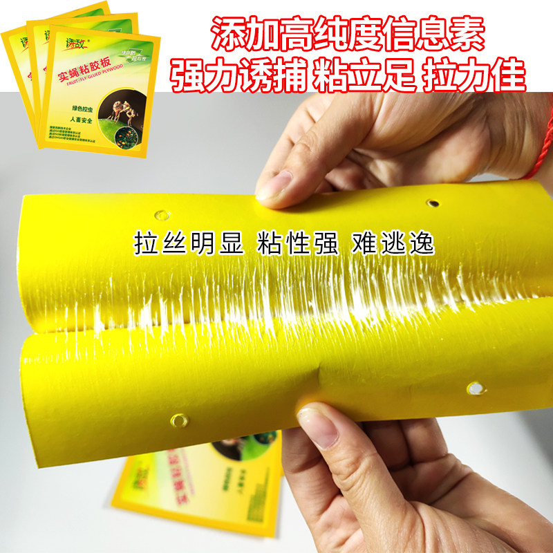 诱敌实蝇粘胶板双面果蝇贴粘针蜂农用粘虫板瓜果实蝇诱粘板诱捕器