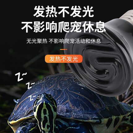 芦丁鸡保温灯鹦鹉爬宠宠物陶瓷无光加热灯育雏饲养箱鸟用保暖灯泡
