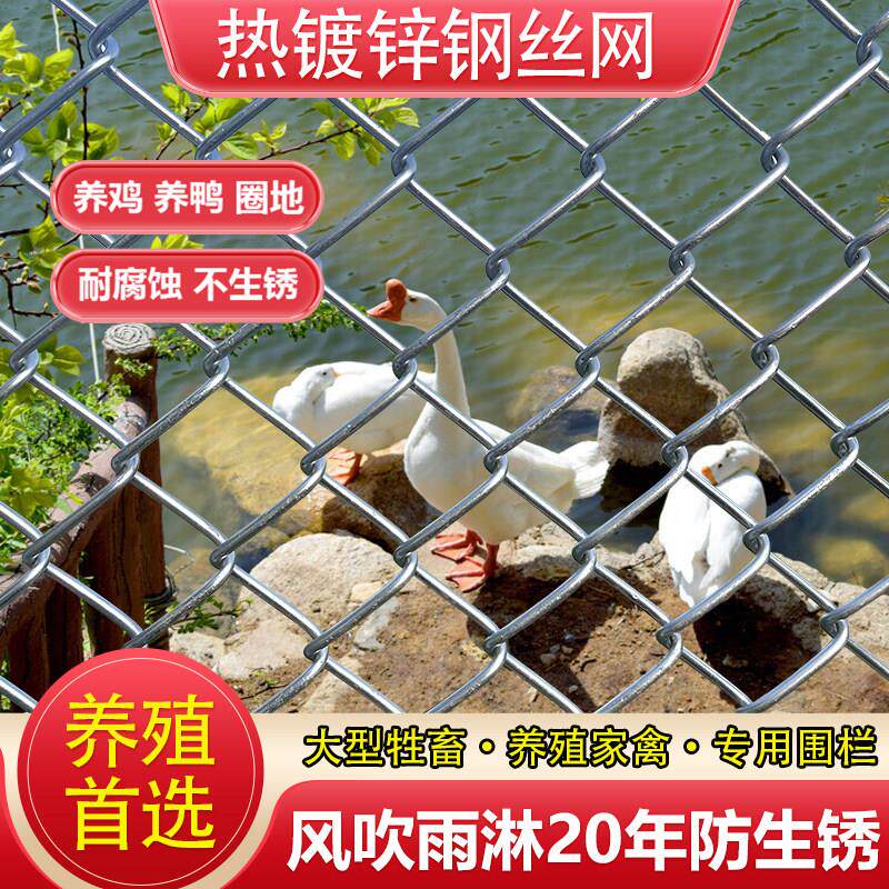 热锌丝网围栏网护栏铁防护镀钢丝网圈勾花网果园菜不地养鸡拦牛羊
