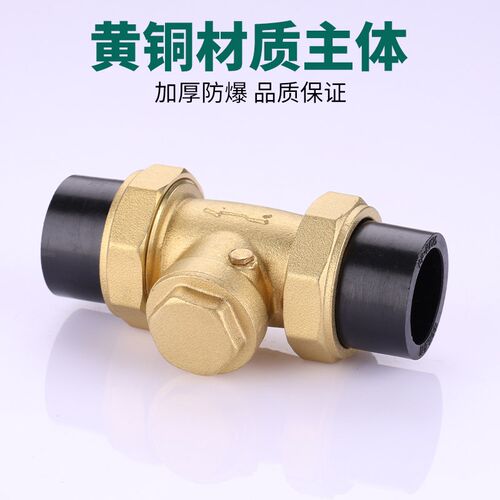 PE止回阀铜卧式双活接单向阀自来水水管热熔逆止阀4分6分DN20/25