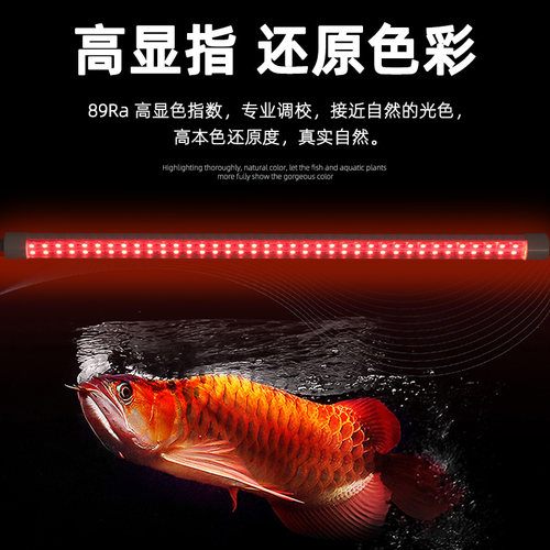 荧森照明超亮双排灯珠鱼缸灯LED防水灯管七彩增艳三基色红照明灯