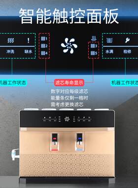 净水器直饮家用壁挂式ro反渗透纯净水农村井水净水机纯净水除氯垢