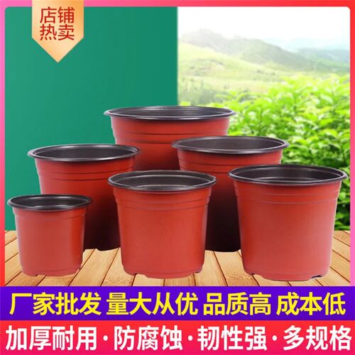 双色软塑育苗摔不坏花盆营养钵培育盆栽绿植多肉塑料园艺育苗盆