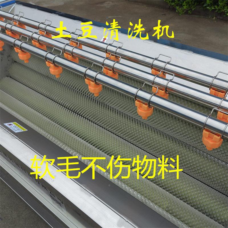 大姜清洗MAGA-102机少毛棍清洗机自全动气泡备清洗设多钱