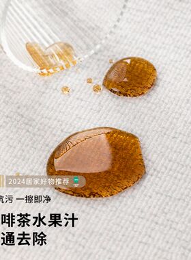 地毯客厅卧室2024新款床边免洗可擦轻奢高级感家用沙发空调房地垫