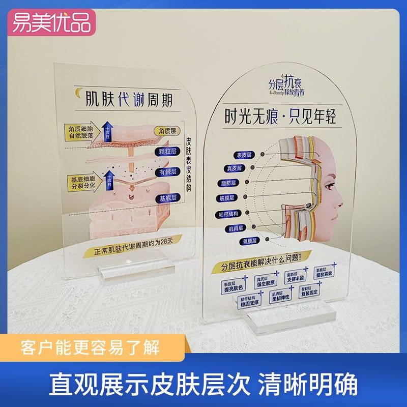 美容展示牌立牌分层抗衰肌肤结构亚克力医学面部皮肤解剖知识医美