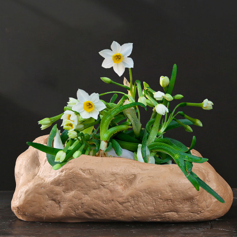 铜钱草水培无孔碗莲睡莲水仙花盆花盆