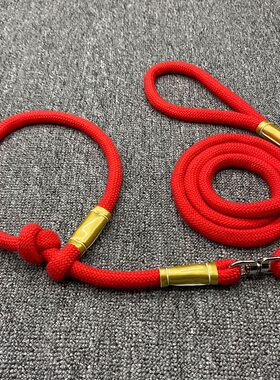 大中小型秋田犬 柴犬专用牵引绳手工制作赛级品质p绳遛狗绳包邮