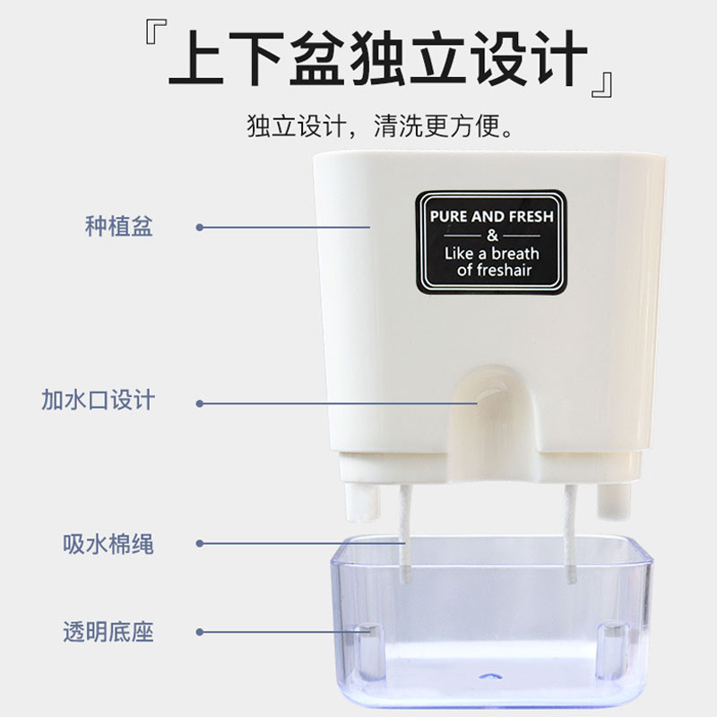 可视懒人花盆自动吸水盆正方形简约家庭绿萝多肉免浇水塑料透明盆图片