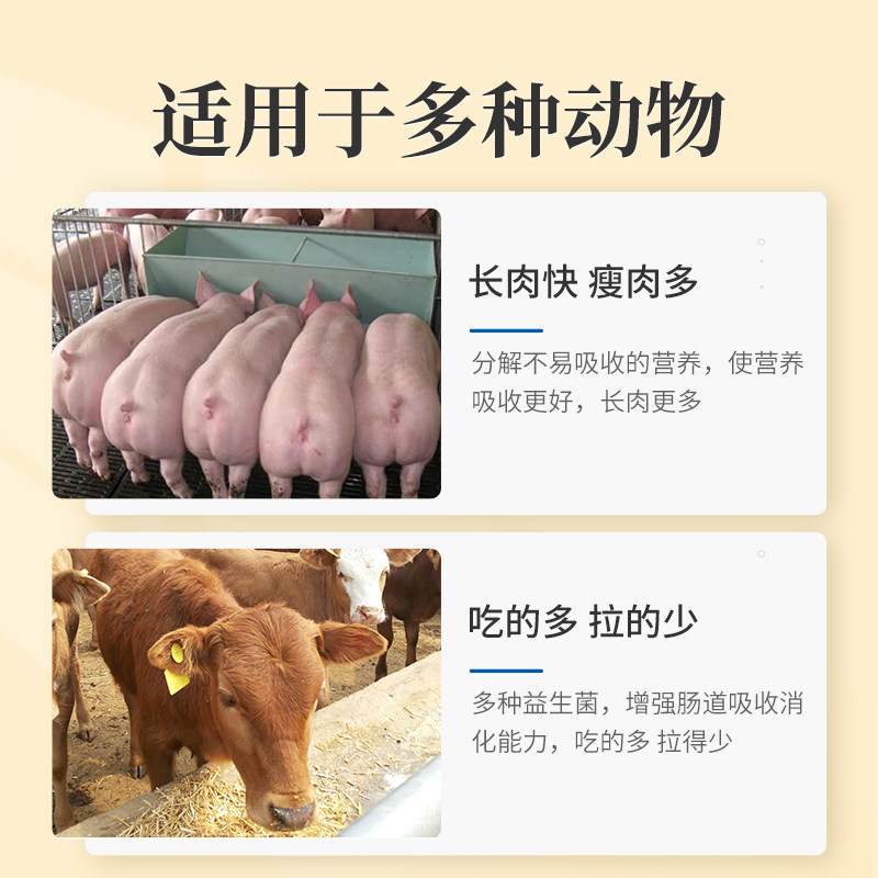 华畜兽用催肥增重王猪用鸡鸭牛羊饲料原料