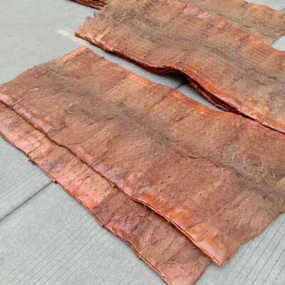 烤花椒垫工地棕垫铺路盖地搭建工棚老式棕床垫学生宿舍防潮山棕垫