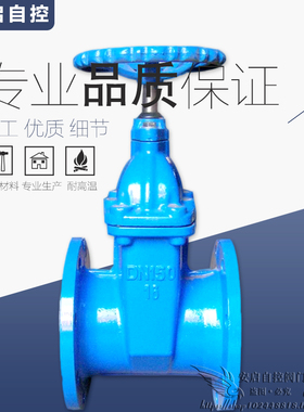 Z45X-16Q消防阀门自来水暗杆软密封法兰闸阀DN50 80 100 150 200