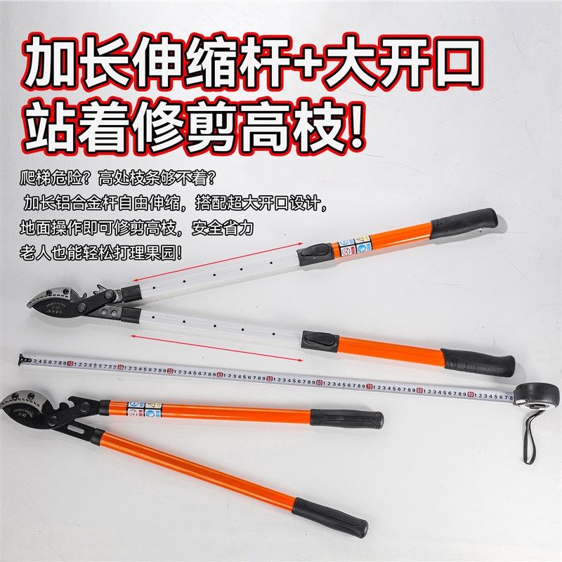 剪枝剪刀修枝果树专用园艺树枝剪修剪神器省力修大枝强力粗枝剪刀
