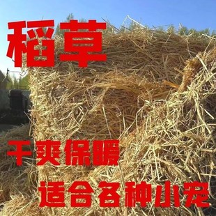 稻草干草垫料兔子过冬天然干稻草秸秆禾杆草保暖牛羊猪饲料狗鸭窝