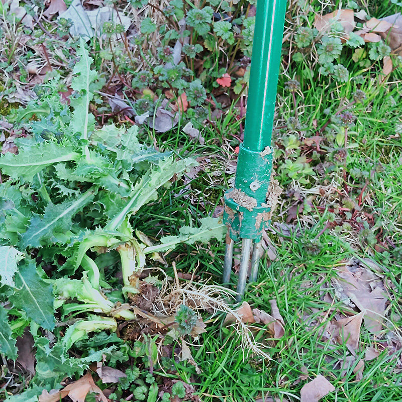 家用拔草挖草野菜神器松土起根器移苗起苗器手动除草园艺工具