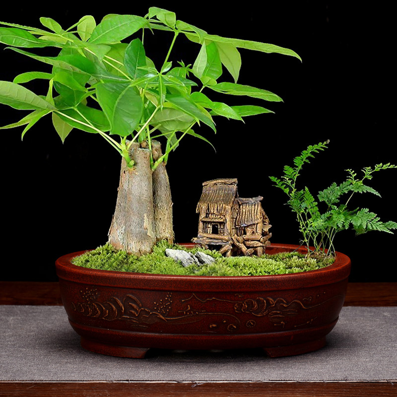 紫砂花盆精品复古方形腰圆家用客厅桌面竹子高档盆景榕树松柏包邮