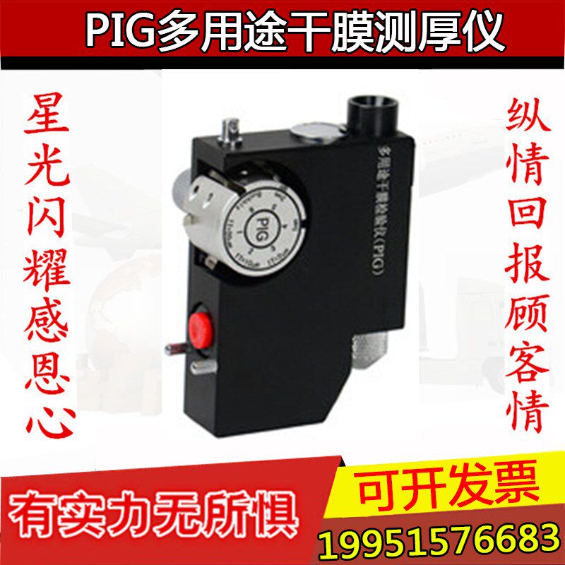 上海普申PIG膜厚仪涂层干膜测厚仪塑料底材多用途漆膜破坏式包邮