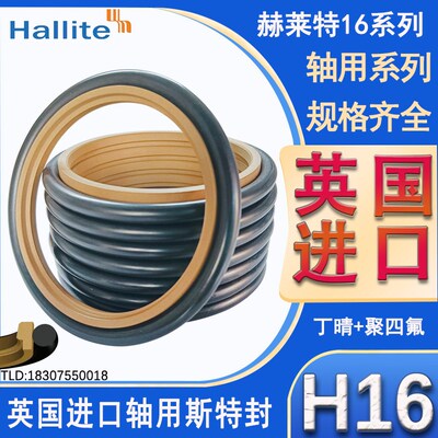 英国进口Hallite轴用斯特封H16-230*8.1/240*8.1/250*8.1 聚四氟