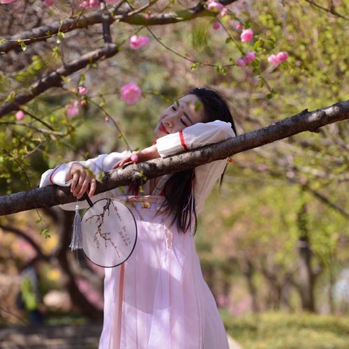 中国古典风团扇 宫扇半透明丝质扇子 汉服舞蹈装饰扇子