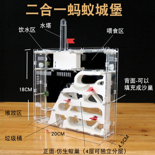 双面蚂蚁城堡 超大型别墅蚁巢室 生态宠物工坊家园王国对战送蚁后