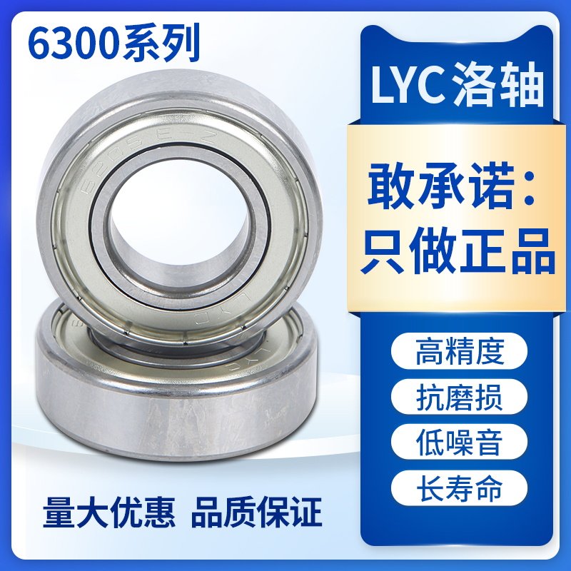 LYC洛阳轴承 6304 6305 6306 6307 6308 6309 6310 6311 E 2Z RZ - 实物图