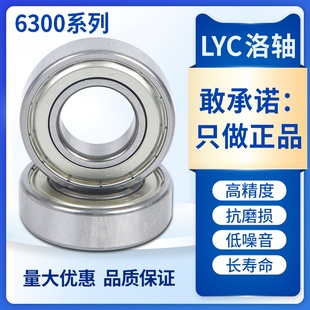 LYC洛阳轴承 6304 6305 6306 6307 6308 6309 6310 6311 E 2Z RZ