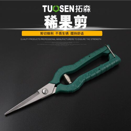 修果剪葡萄枝的专用剪刀采果翘头稀果剪蔬果剪尖头水果不锈钢修枝